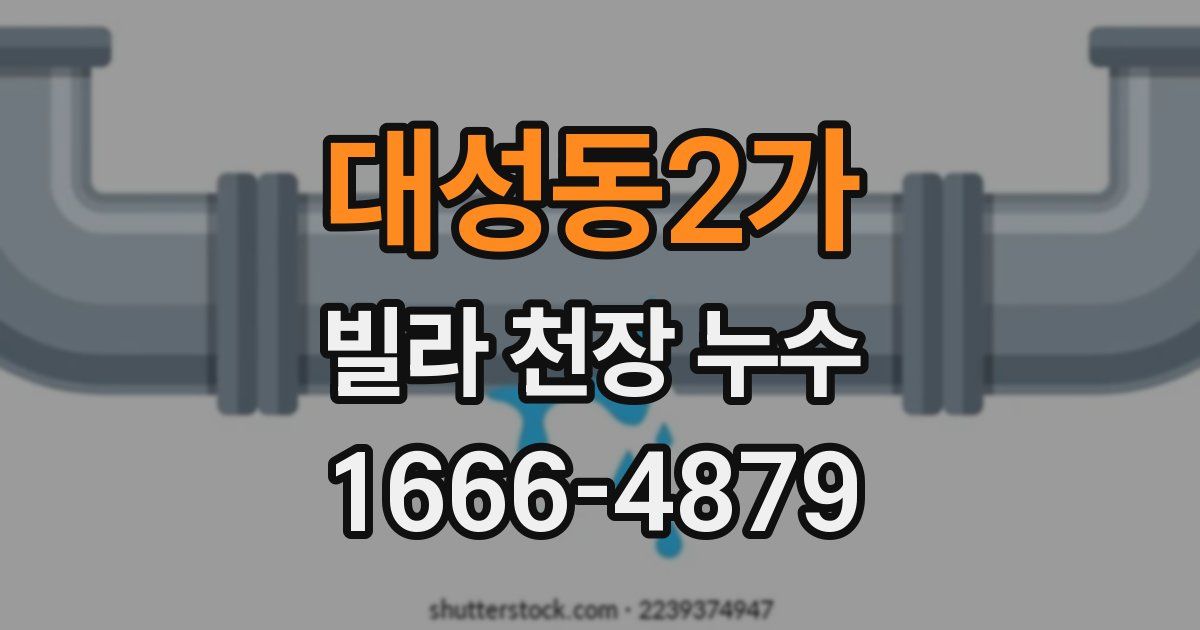 대성동2가 빌라 천장 누수
