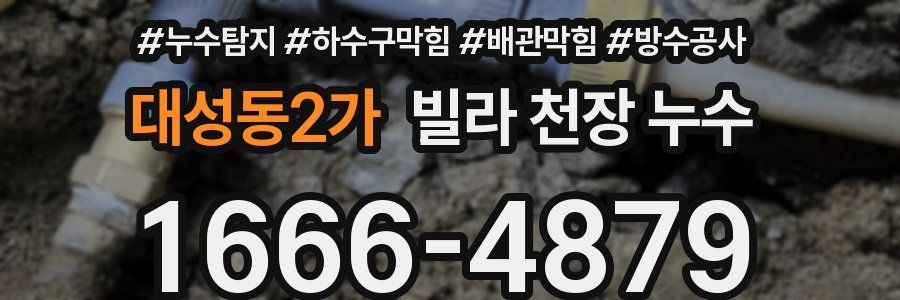 대성동2가 빌라 천장 누수