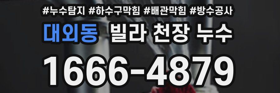 대외동 빌라 천장 누수