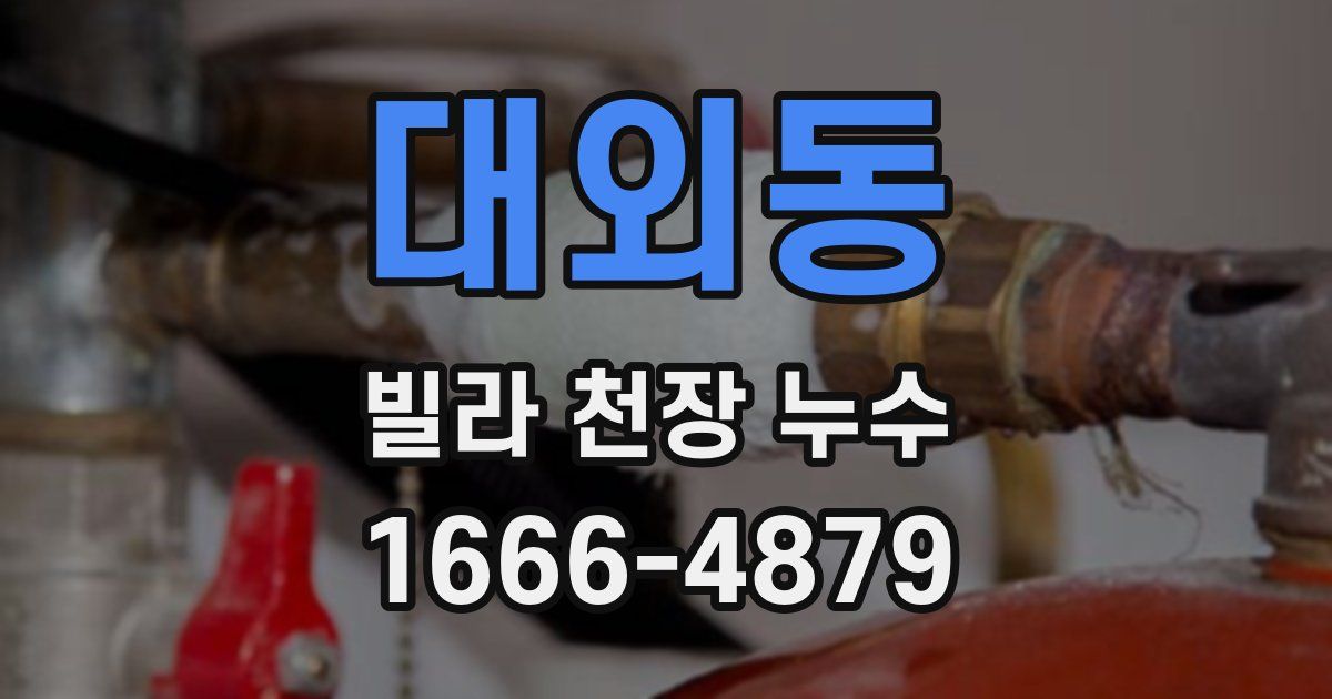 대외동 빌라 천장 누수