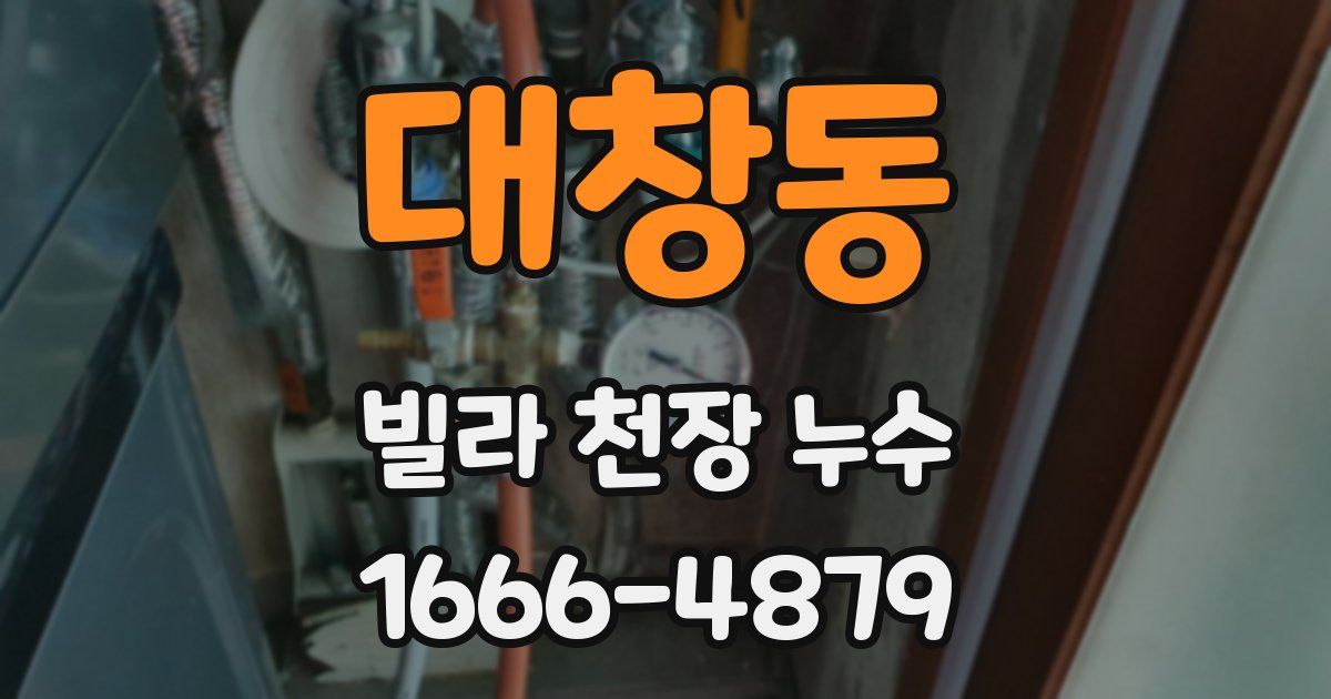 대창동 빌라 천장 누수