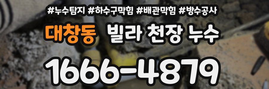 대창동 빌라 천장 누수