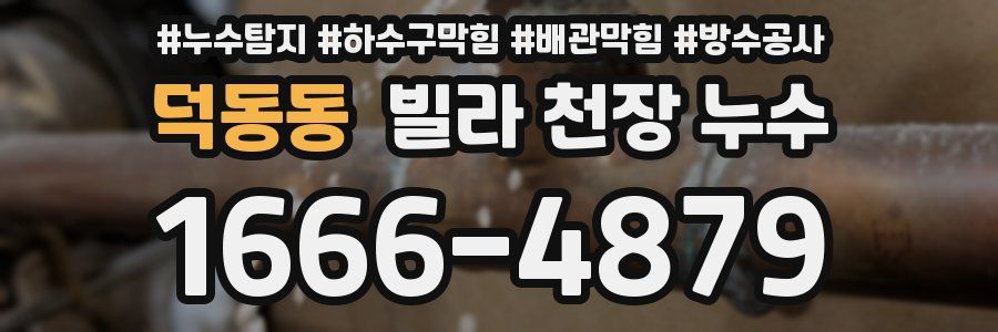 덕동동 빌라 천장 누수