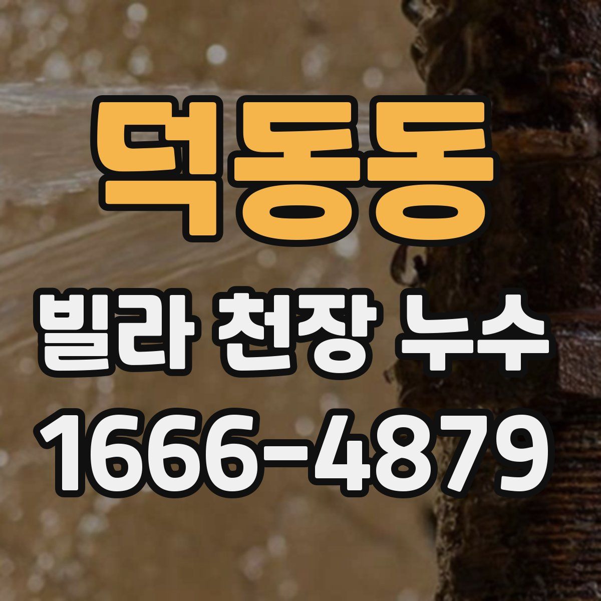 덕동동 빌라 천장 누수