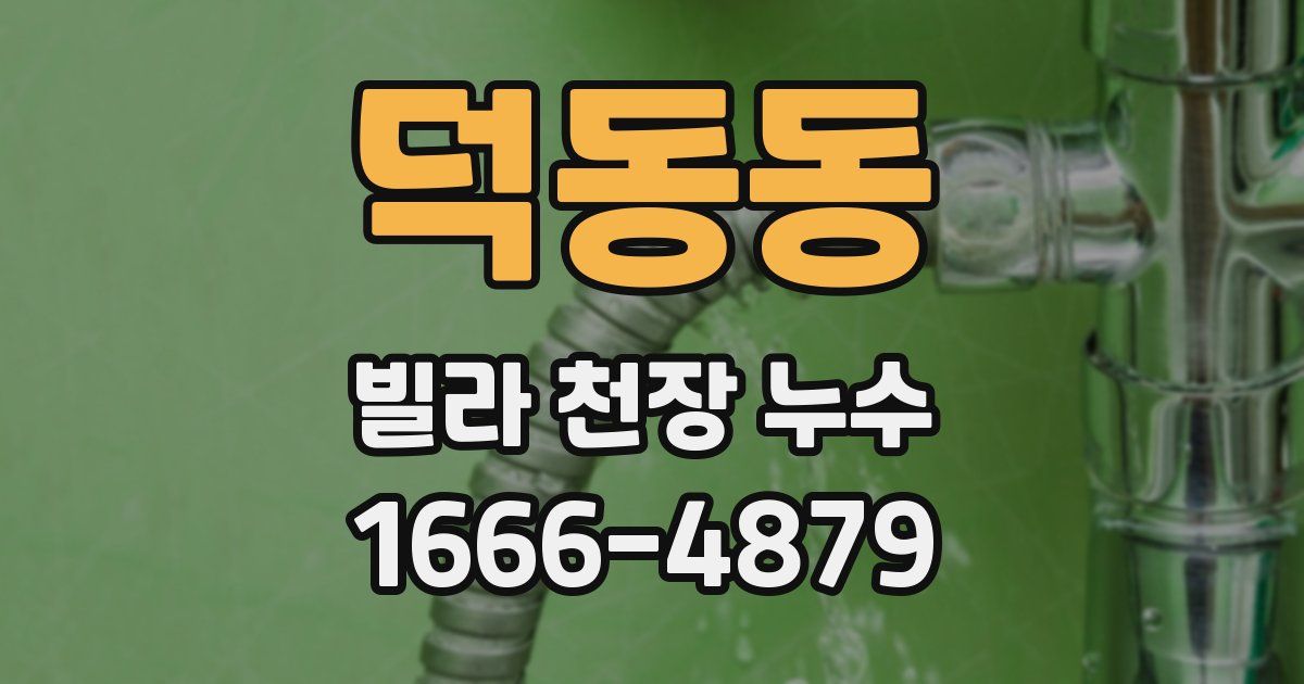 덕동동 빌라 천장 누수