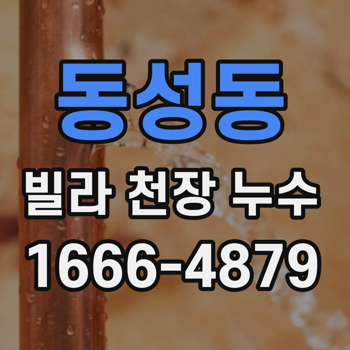 동성동 빌라 천장 누수