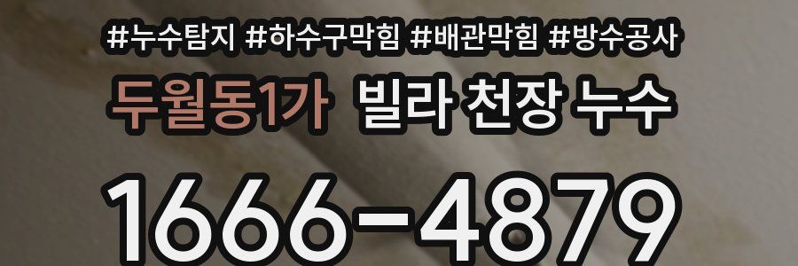 두월동1가 빌라 천장 누수