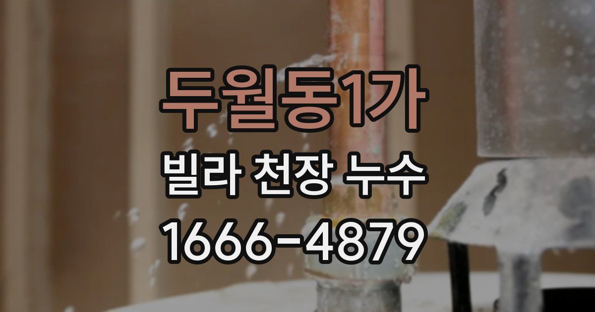 두월동1가 빌라 천장 누수