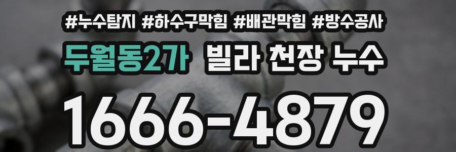 두월동2가 빌라 천장 누수