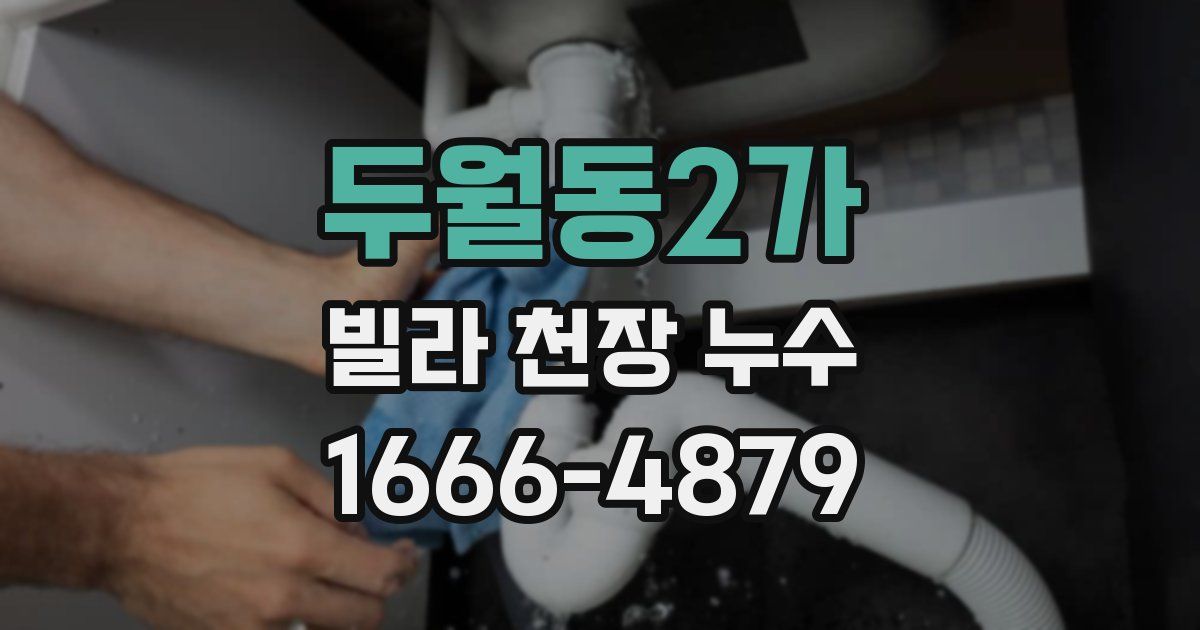 두월동2가 빌라 천장 누수