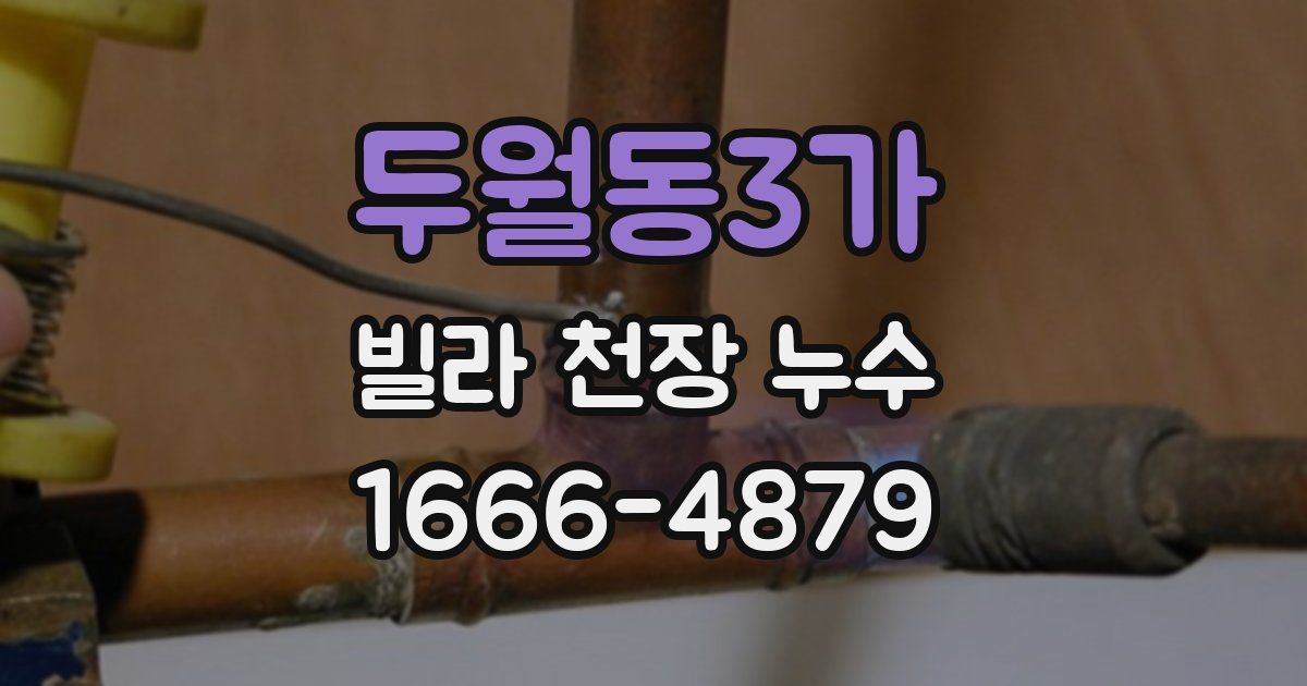 두월동3가 빌라 천장 누수