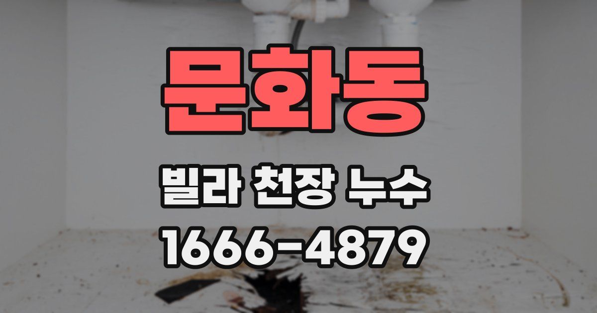 문화동 빌라 천장 누수