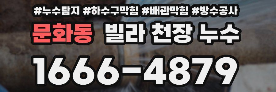 문화동 빌라 천장 누수