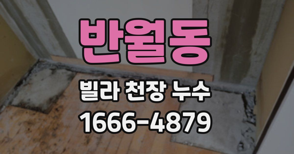 반월동 빌라 천장 누수