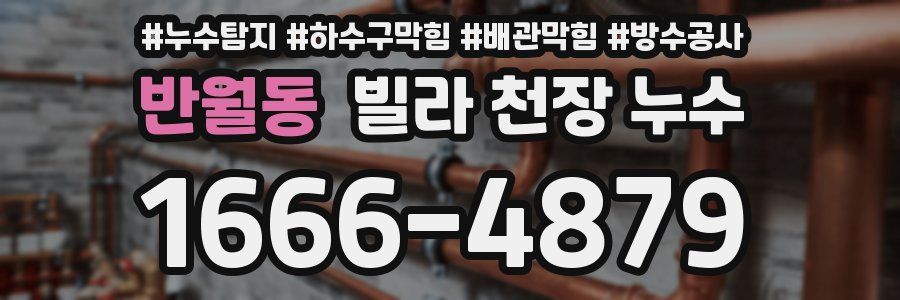반월동 빌라 천장 누수