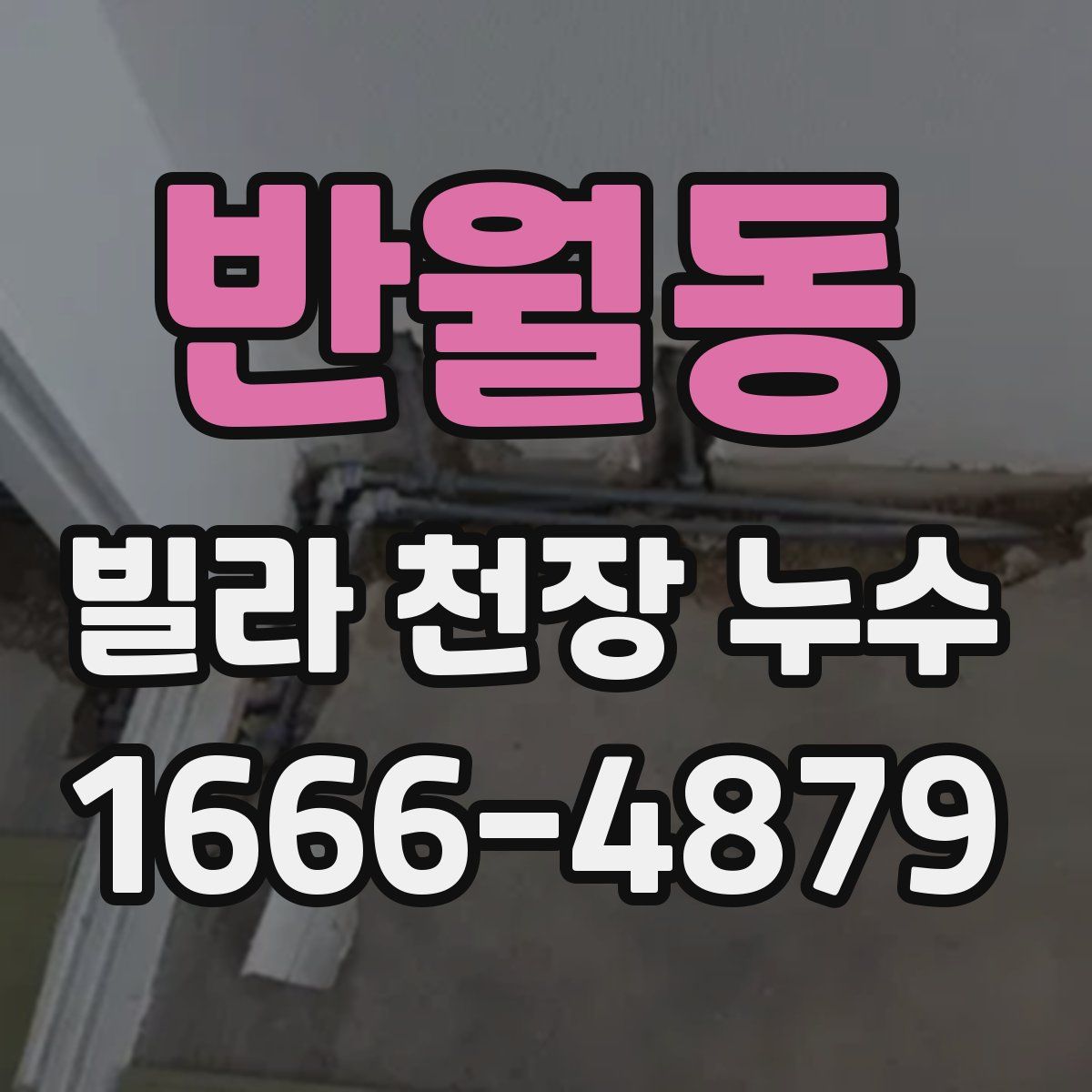 반월동 빌라 천장 누수