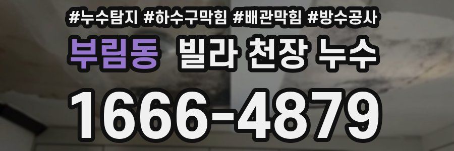 부림동 빌라 천장 누수