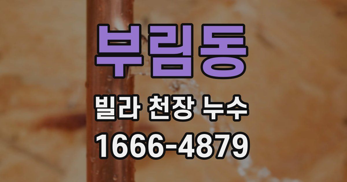 부림동 빌라 천장 누수