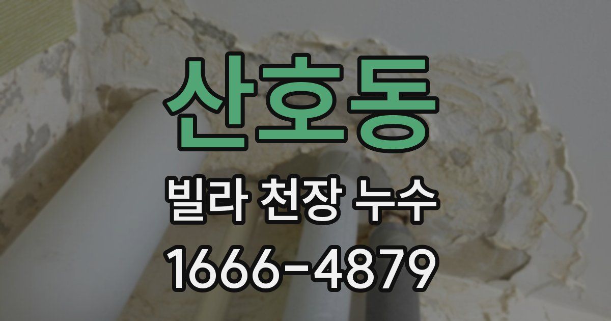 산호동 빌라 천장 누수