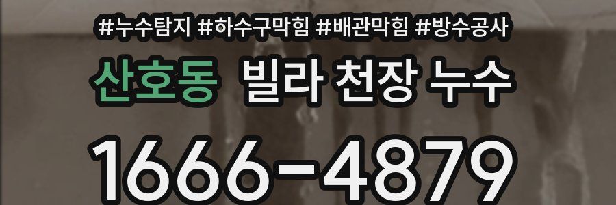 산호동 빌라 천장 누수
