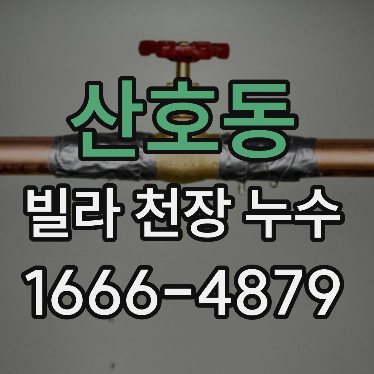 산호동 빌라 천장 누수