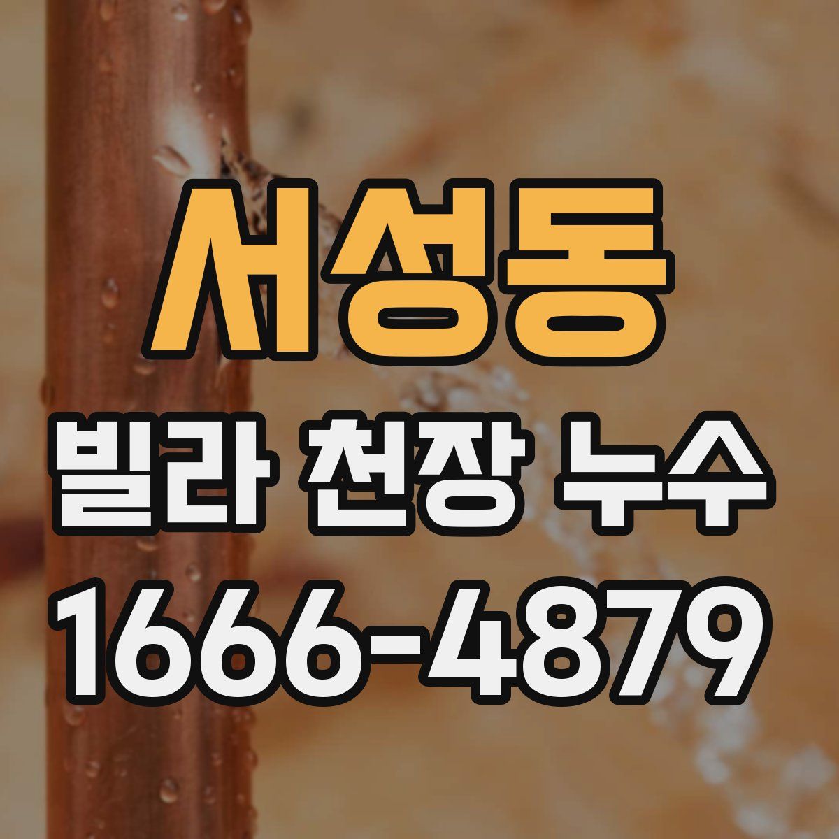 서성동 빌라 천장 누수