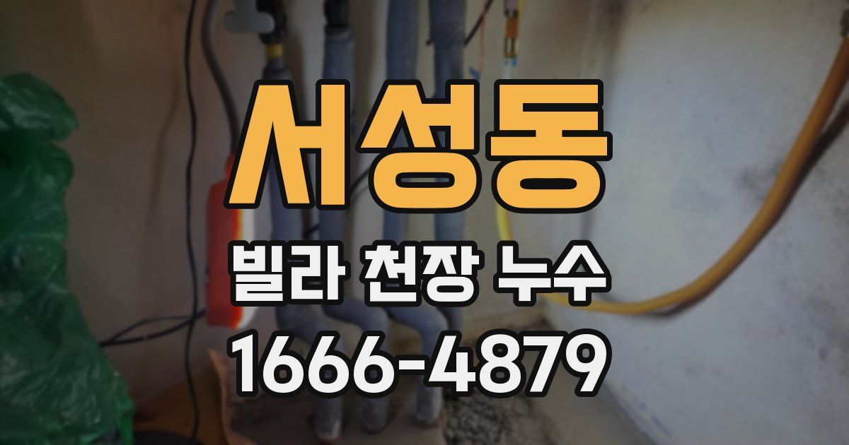 서성동 빌라 천장 누수