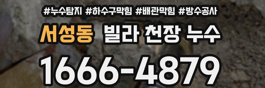 서성동 빌라 천장 누수