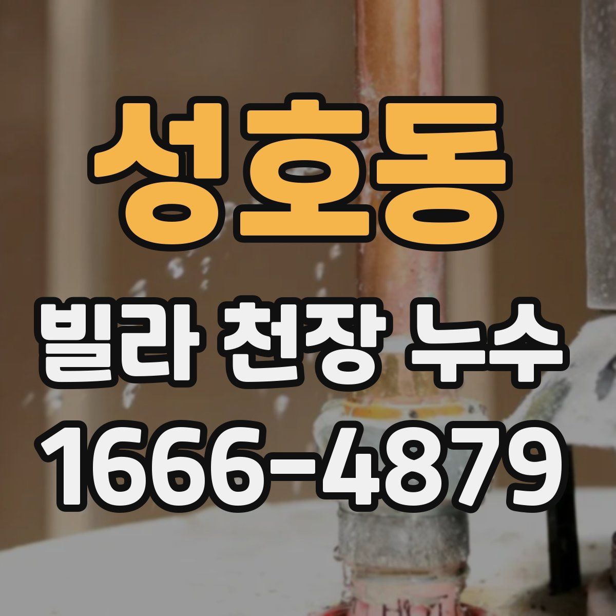 성호동 빌라 천장 누수