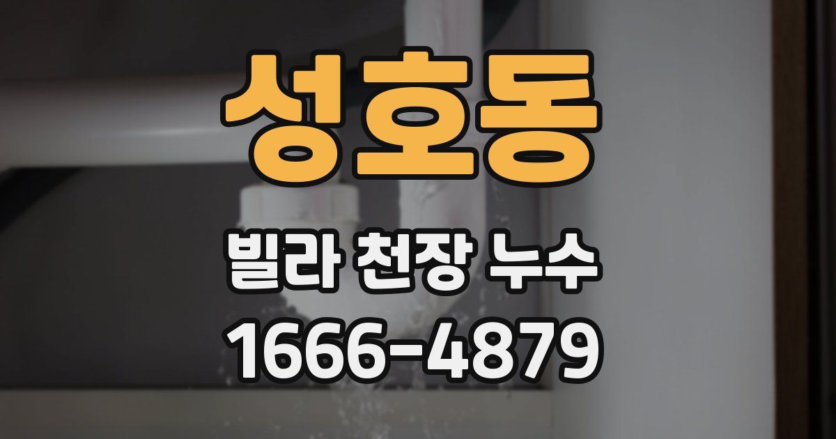 성호동 빌라 천장 누수