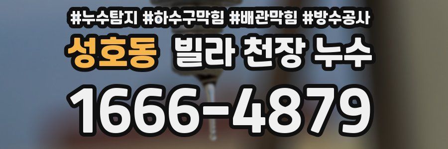 성호동 빌라 천장 누수