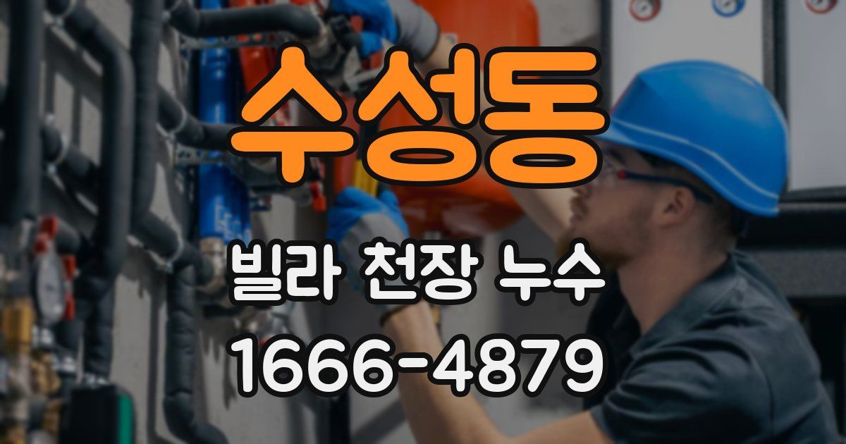 수성동 빌라 천장 누수