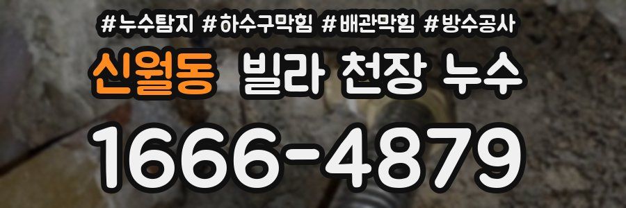 신월동 빌라 천장 누수