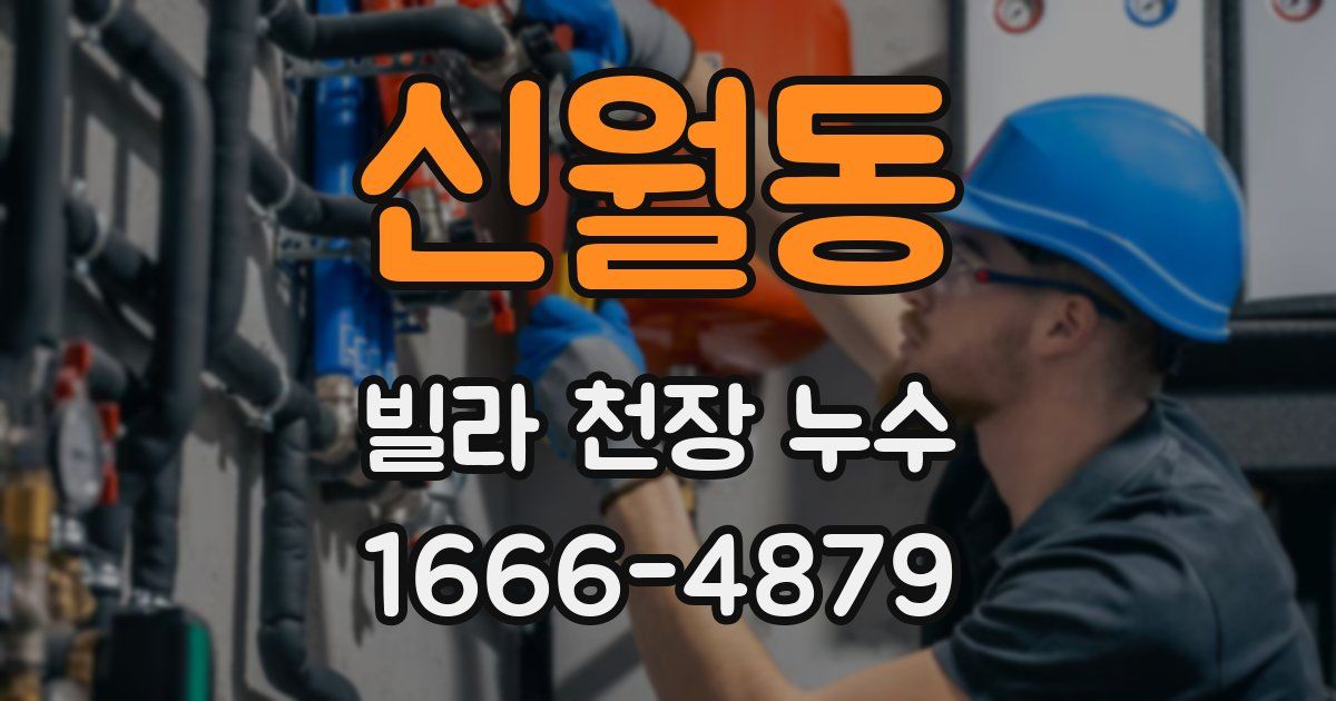 신월동 빌라 천장 누수
