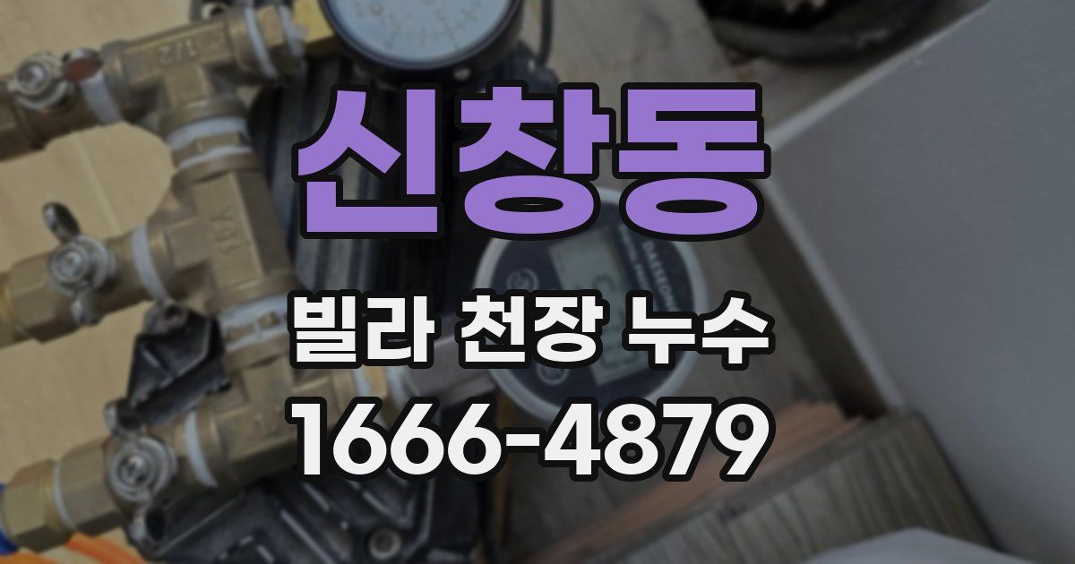신창동 빌라 천장 누수