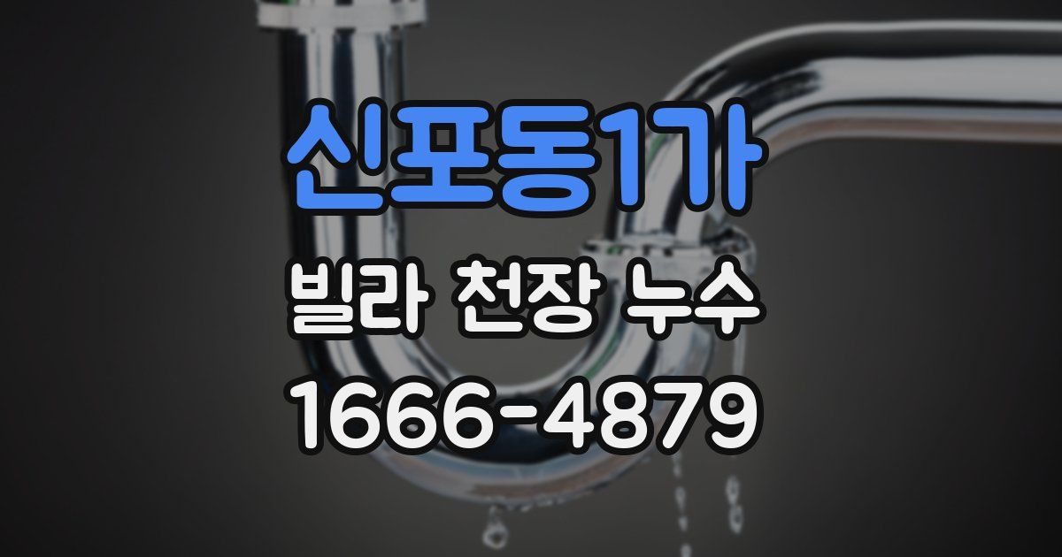 신포동1가 빌라 천장 누수