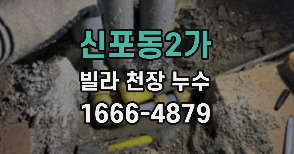 신포동2가 빌라 천장 누수