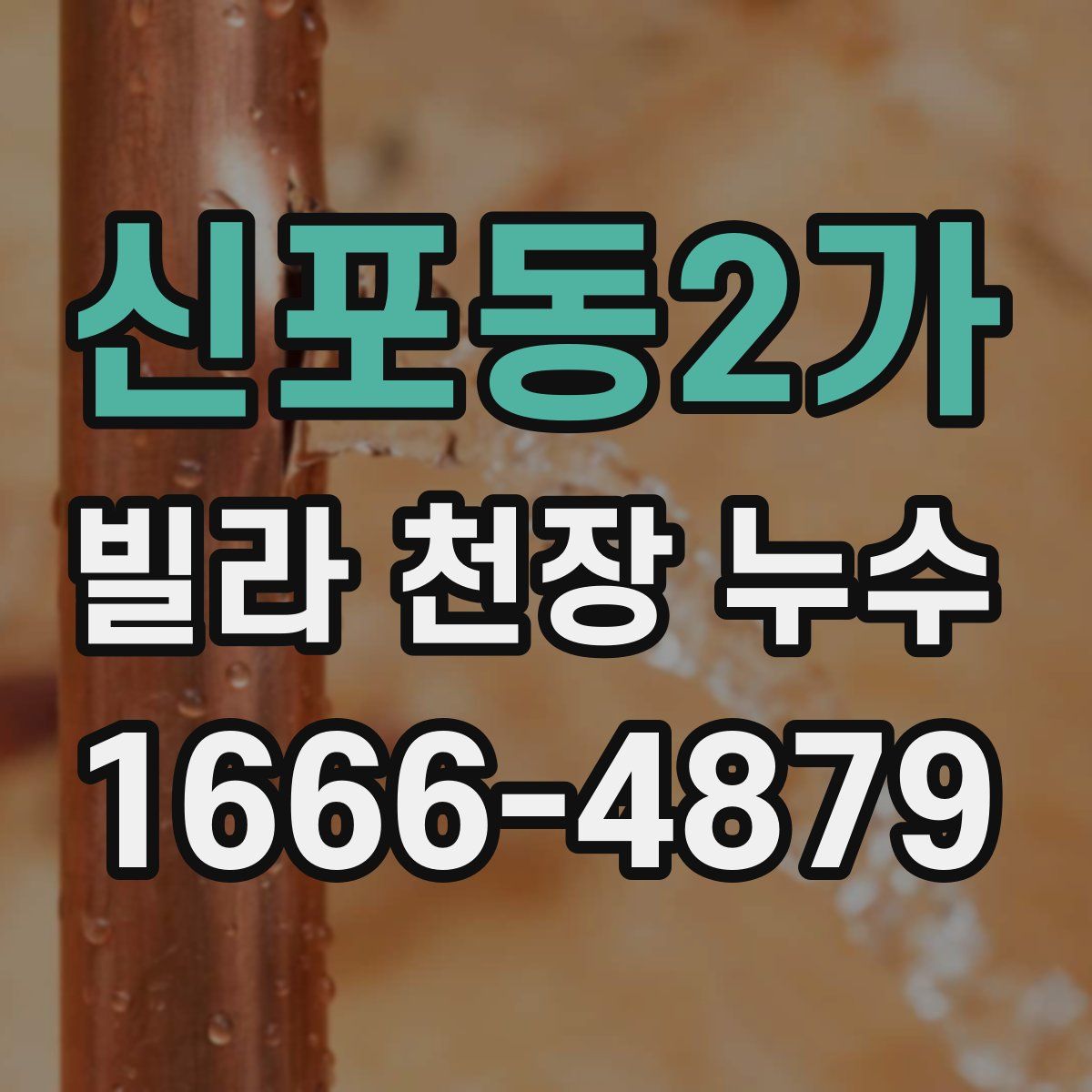 신포동2가 빌라 천장 누수