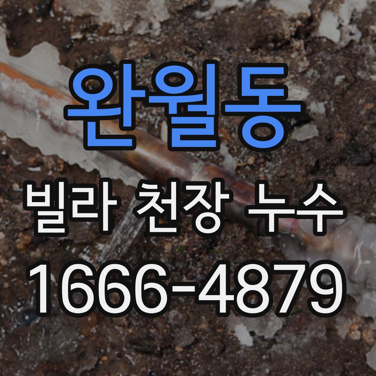 완월동 빌라 천장 누수