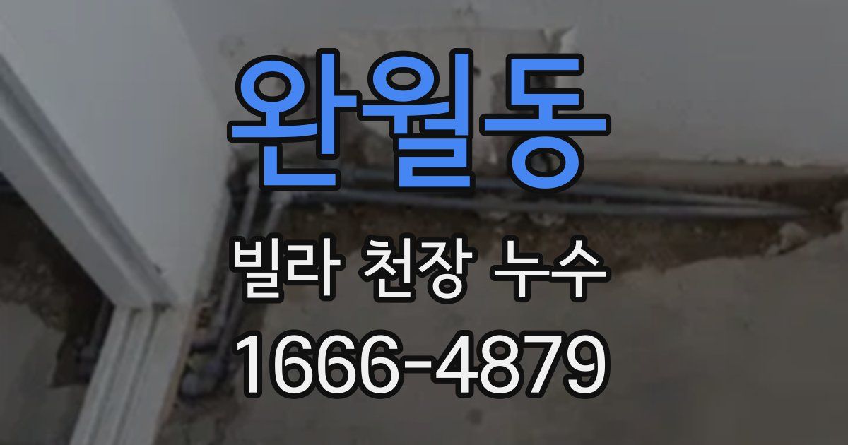완월동 빌라 천장 누수