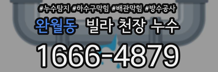 완월동 빌라 천장 누수