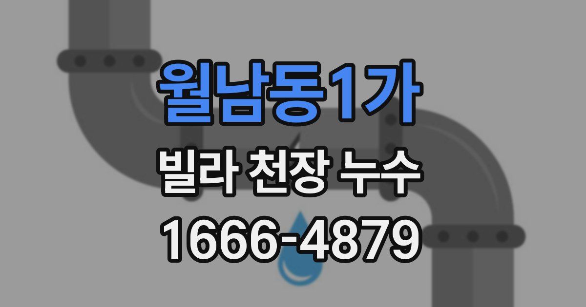 월남동1가 빌라 천장 누수