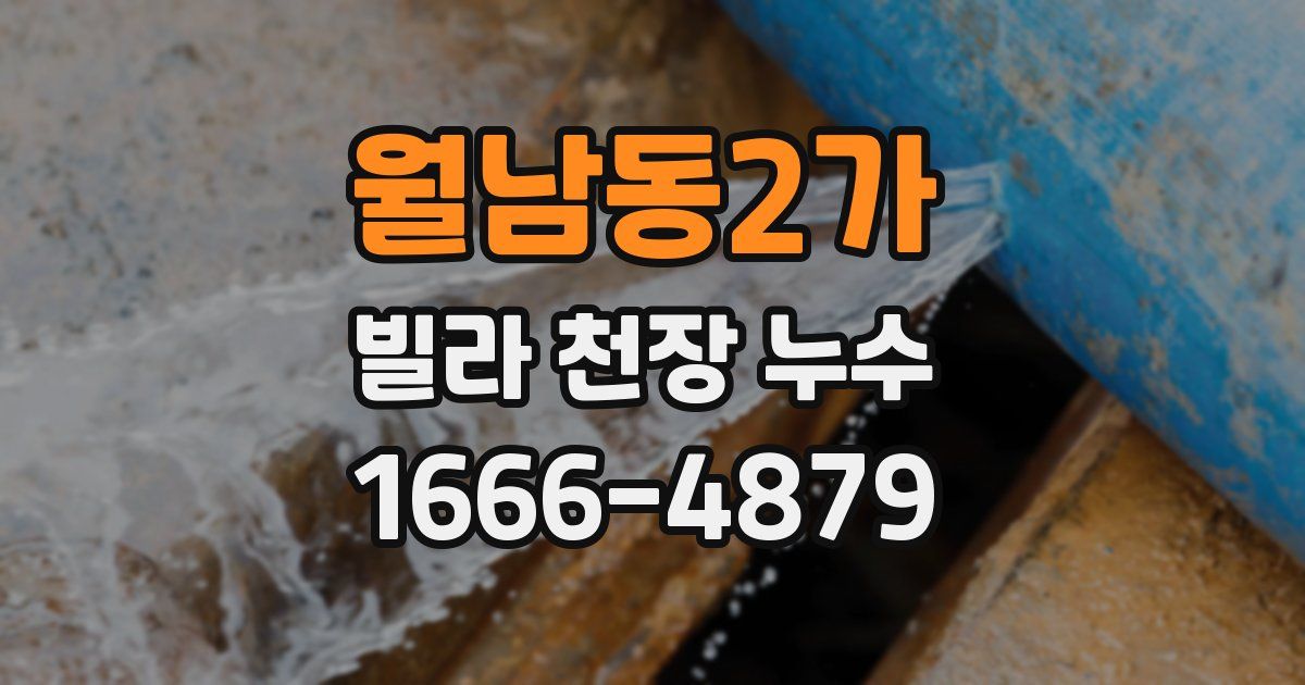 월남동2가 빌라 천장 누수