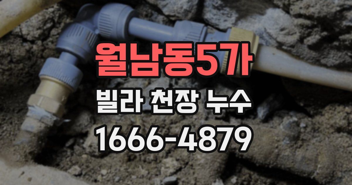 월남동5가 빌라 천장 누수