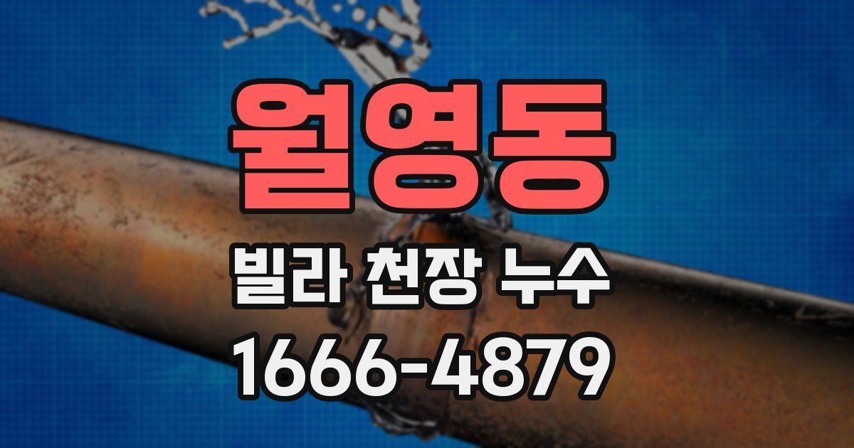 월영동 빌라 천장 누수