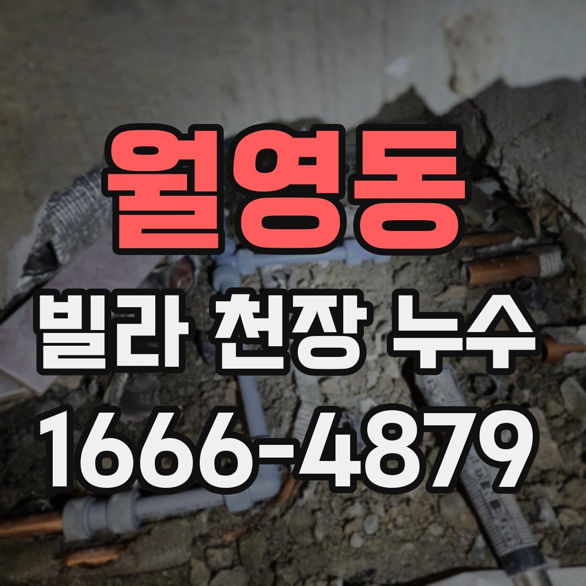 월영동 빌라 천장 누수