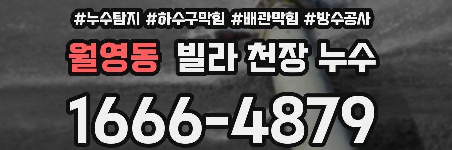 월영동 빌라 천장 누수