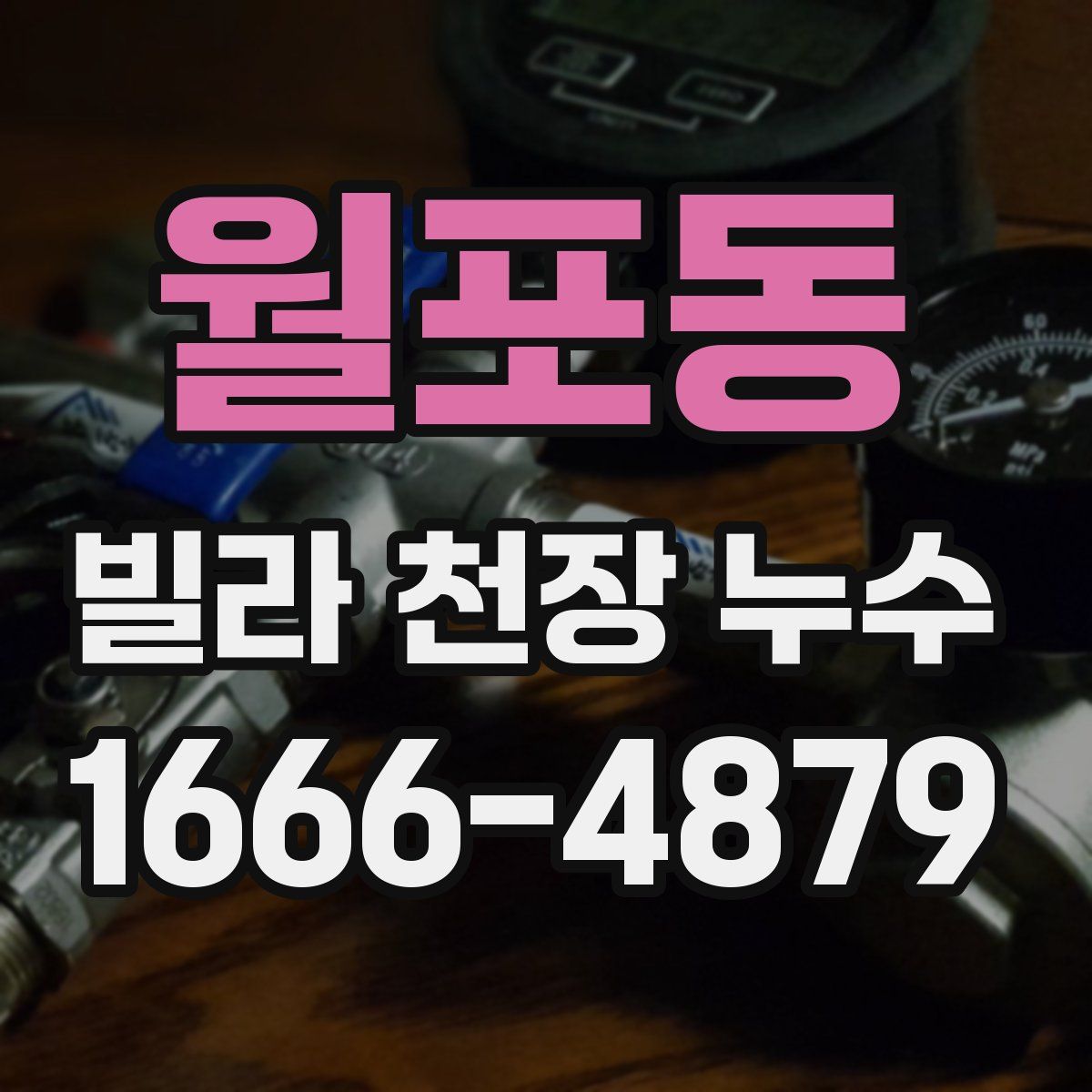 월포동 빌라 천장 누수