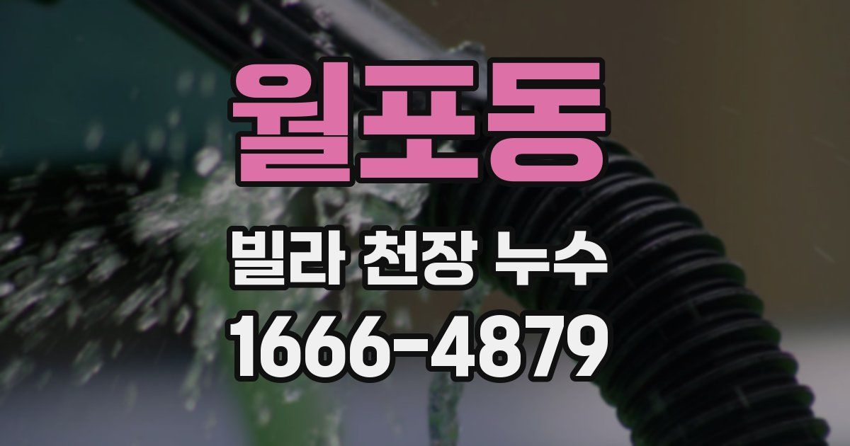 월포동 빌라 천장 누수