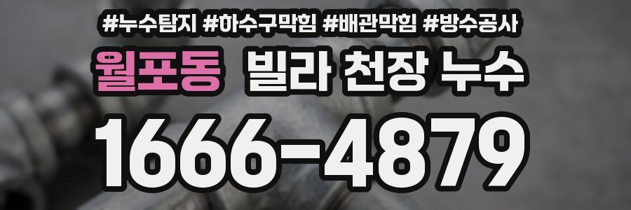 월포동 빌라 천장 누수